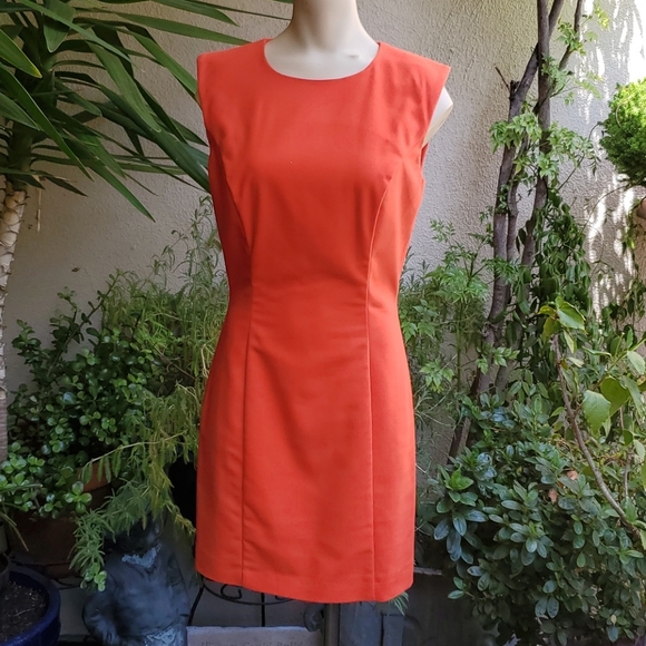 French Connection A-Line Dress with rounded neck - Picture 4 of 13